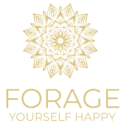 Forage Yourself Happy - Yorkshire Forest wellbeing